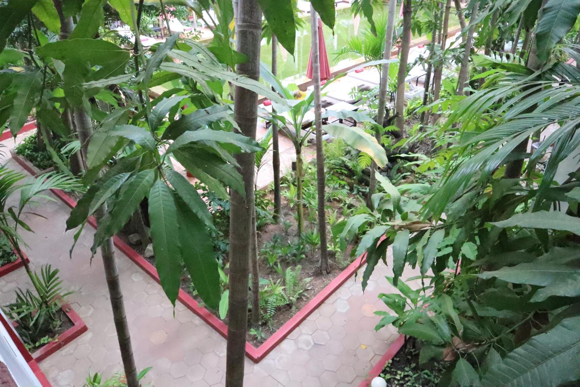 La Niche D'Angkor Boutique Hotel Siem Reap Esterno foto